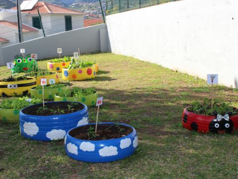 A horta - distribuídas pelas quatro salas (2 berçários; 2 salas de jardim). Vegetais plantados tomate, alface, couve, cebola e beterraba.